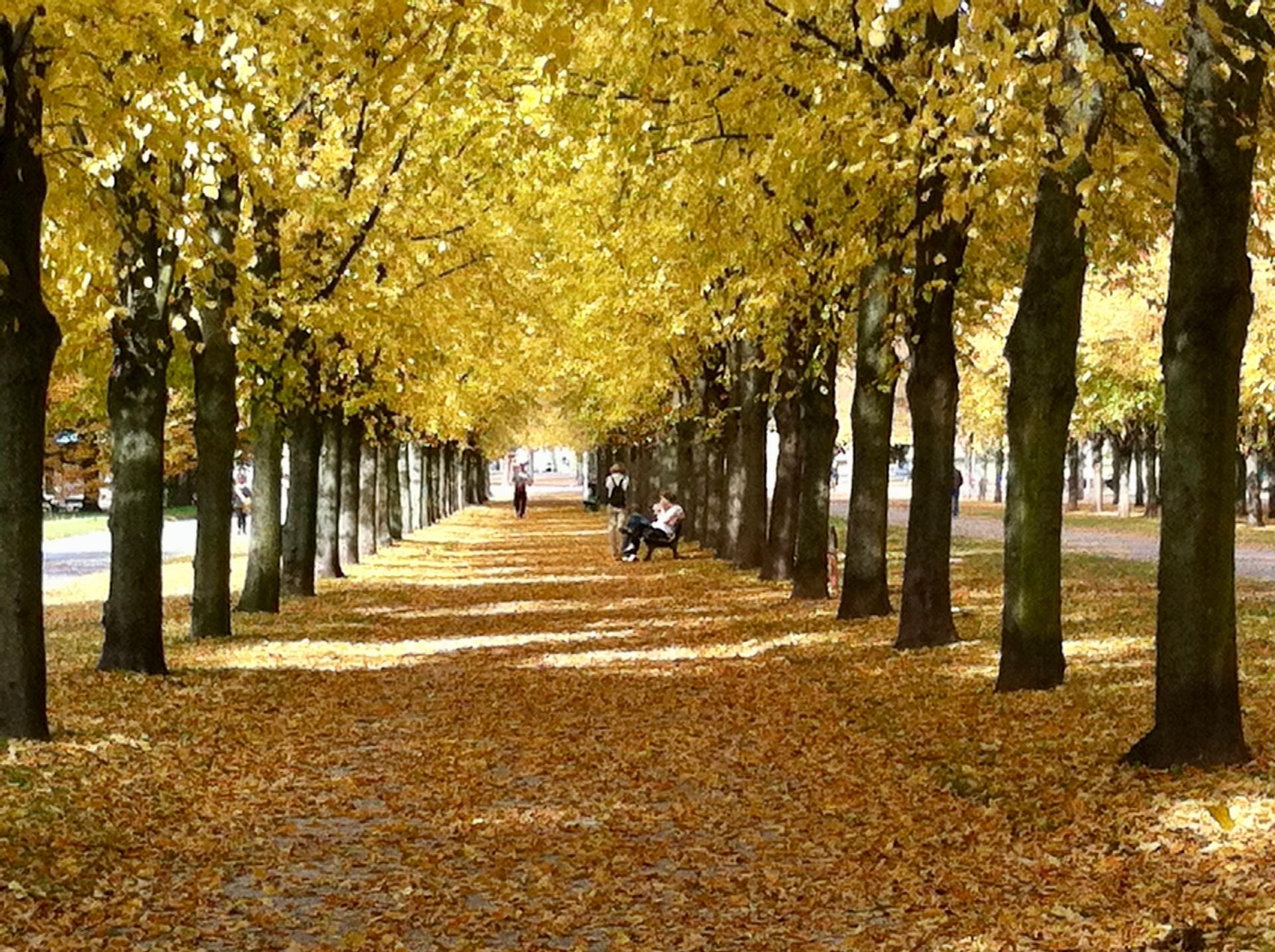 Outono na Alemanha