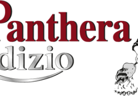 Panthera Rodízio