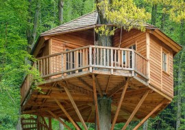 Conheça os 5 Melhores Hotéis na Árvore da Alemanha 